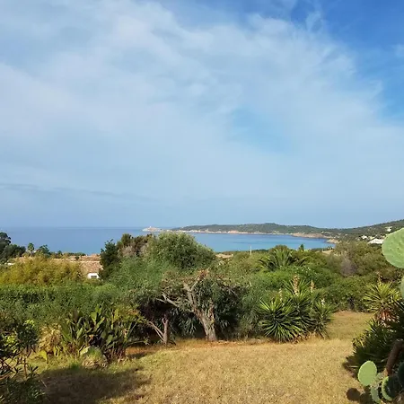 Beau De Type F3 Avec Jardin Fleuri A 5 Min De La Cargese